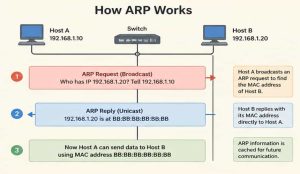 Master ARP – The Address Resolution Protocol