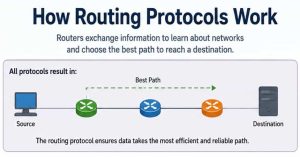 Routing Protocols Explained