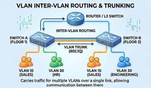 The Fundamentals of VLAN – Virtual Local Area Network